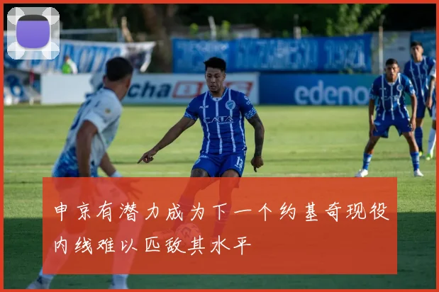 申京有潜力成为下一个约基奇现役内线难以匹敌其水平