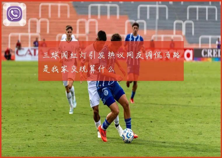 三球闯红灯引发热议网友调侃马路是我家交规算什么