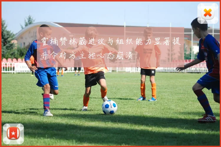 霍楠赞林葳进攻与组织能力显著提升令对方主控心态崩溃
