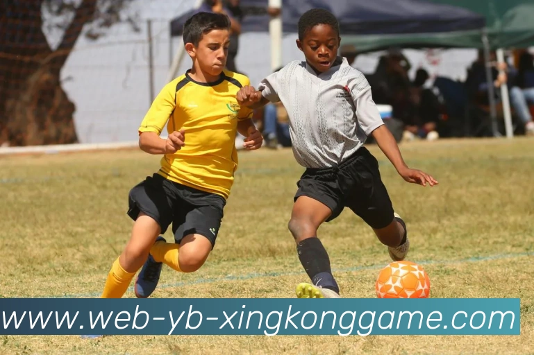 星空体育平台生态图