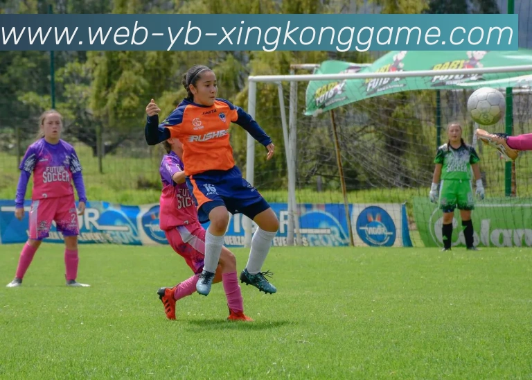 星空体育APP 封面图